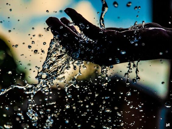 Lose yourself - Mahatma Gandhi - NL