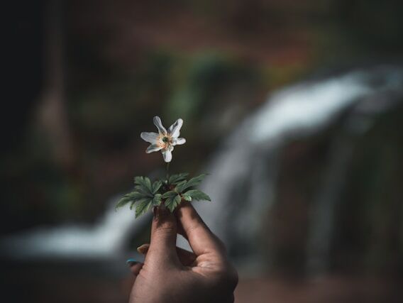 Forgiving yourself - Tolle - NL