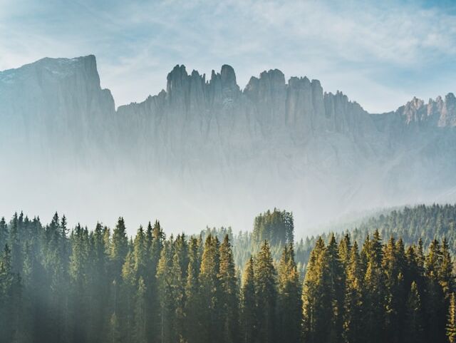 Uncover - Billy Corgan - NL